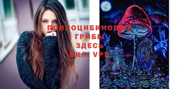 ешки Алзамай