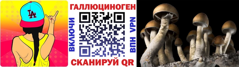 Псилоцибиновые грибы Psilocybe  Кола 